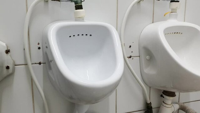 Public male urinals. Toilets in a public place.