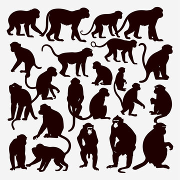 flat design monkey silhouette collection