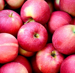 Apple - Red Apples - Apple Harvest - Background and Texture
