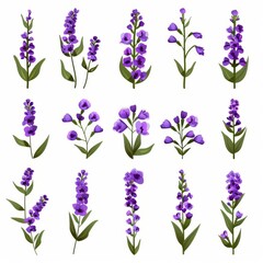 Statice Flower Icon Set, Garden Statice Flower Flat Design, Abstract Statice Flower Symbol