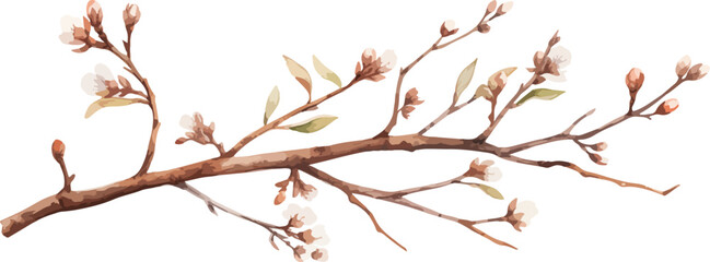 Watercolor illustration willow branches and tree branch without leaves. Brown dry straight twig. Isolated on a white background. Spring floral easter elements. For holiday print design - obrazy, fototapety, plakaty