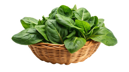 Obraz premium Spinach in the basket isolated on Transparent background.