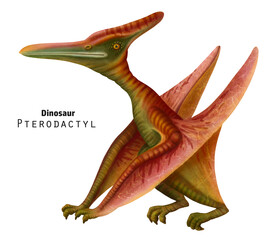 pterodactyl illustration. Sitting dinosaur with its wings folded. Red dino - 761830414