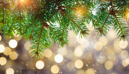 christmas background with pine branches and bokeh lights