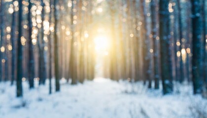 blurred winter forest with sunshine background