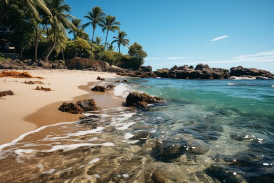 Sandy beach with palm trees and rocks in the water, under a blue sky