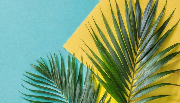 tropical bright colorful background with exotic painted tropical palm leaves minimal fashion summer concept flat lay