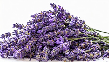 an isolated random pile of lavender flowers