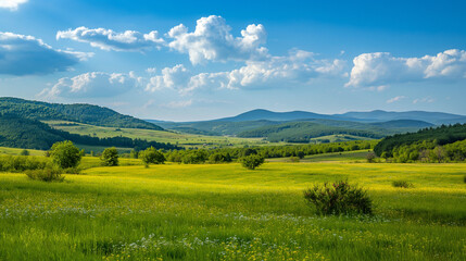 Fototapeta premium landscape in the mountains