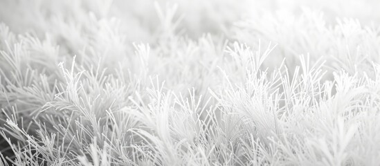 White grass texture background
