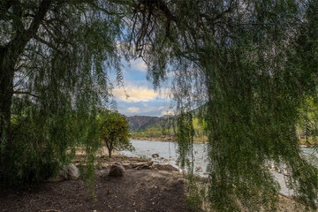 Willow tree along the bank of a flowing river arches to frame the scene of sky and hills © motionshooter