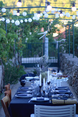 Table set for a summer garden party.