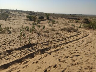 Marche en plein milieu d'un grand désert indien, dune de sable, avec sa végétation, bâton,...