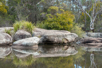 Exploring the National Parks of the Granite Belt (Girraween, Bald Rock): Embark on a journey through ancient landscapes, granite formations, and diverse flora, immersing in the rugged beauty.