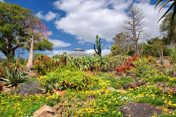 Immerse yourself in a symphony of floral details and blossoms at the Botanic Garden, Mount Coot-tha, Brisbane, a vibrant oasis of natural splendor.