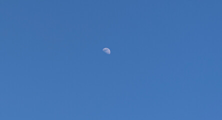 half moon in blue sky
