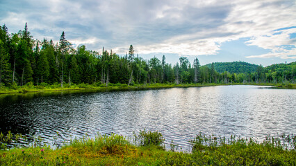 Mauricie, Canada - August 12 2018: Picture show the view in the Mauricie national park 