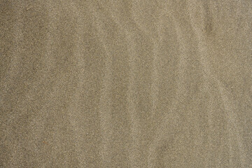 Fototapeta na wymiar Ripples Across Wet Sand Texture