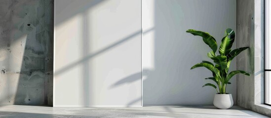 Minimalistic lifestyle concept: Interior indoor plant and wall poster.