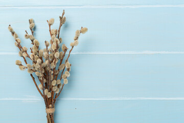 Pussy willow branches on woooden background, top, view. Palm Sunday concept - obrazy, fototapety, plakaty