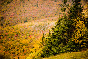 Fall season on Mont Sutton in Quebc Canada