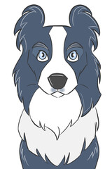 This is an illustration of a border collie facing forward and gazing at us.