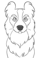 This is a simple illustration of a border collie facing forward and gazing at us.	
