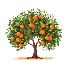 Orange tree flat vector illustration isloated on wh