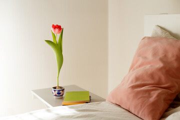 Minimalist bedroom interior in white tones with a pink pillow and a growing tulip in a pot standing on the bedside table. Growing tulips in pots at home. spring vibe. Books on the nightstand.