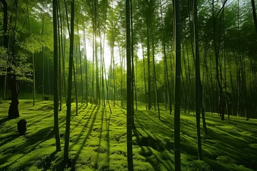 Schilderijen op glas A peaceful bamboo forest, with the sun filtering through the tall, slender stalks, casting shadows on the forest floor that is a lush, vivid shade of lime green. © Ghulam