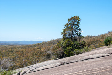The Bald Rock, Bald Rock National Park, NSW, Australia