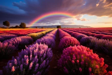 Gartenposter Field of lavender flowers under a rainbow in the sky © Yuchen Dong