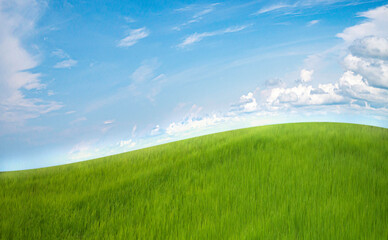 Green field and blue sky with clouds - 761874277