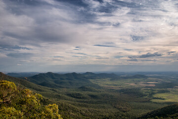 Obraz premium Bushwalking in the Bunya Mountains of South East Queensland offers a journey through lush rainforest, towering bunya pines, and panoramic vistas, inviting adventure seekers into nature's embrace. 