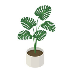 観葉植物「モンステラ」_アイソメトリックのイラスト