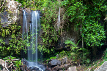 Curtis Falls, waterfall in South East Queensland, near Mount Tamborine: Cascading waters amidst lush rainforest, creating a serene oasis of natural beauty and tranquility