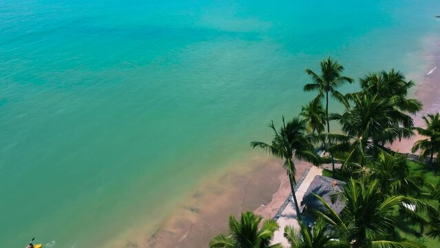 Beach with tropical look brazil