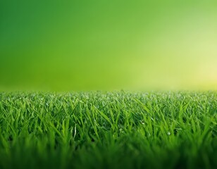 Fototapeta na wymiar Green grass, on a green background. Spring and summer concept. grass texture, blurred background, sun rays. Nature concept. Copy space for text.