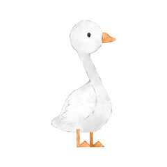 Cute duck watercolor isolated on white background. Vector illustration for greeting cards, printing and other.