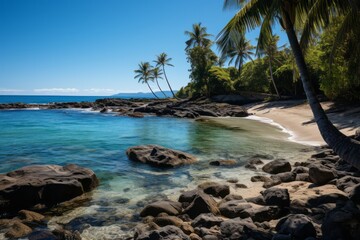Sunny day at tropical beach with palm trees and rocks