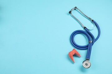 Endocrinology. Stethoscope and model of thyroid gland on light blue background, top view. Space for...