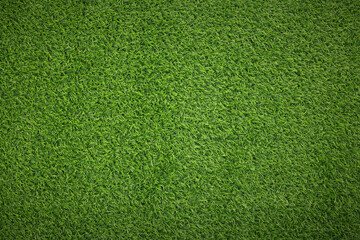 Fresh green grass as background outdoors, top view