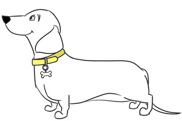 This is a simple illustration of a short-haired dachshund.