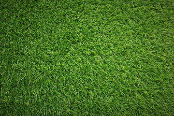 Fresh green grass as background outdoors, top view - obrazy, fototapety, plakaty