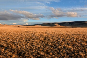 A huge steppe with low dried grass under the clouds at the foot of a high mountain range on a sunny...