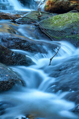 little waterfall cascades in Springbrook National Park, Queensland, Australia
