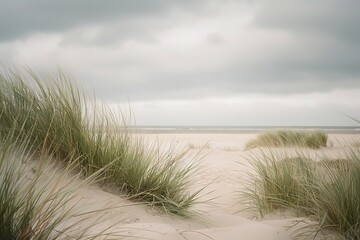 Beach Grass in Soft Focus with Sandy Shore and White Sky. Generative AI.
