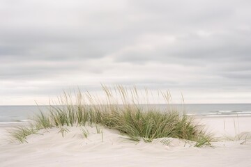 Fototapeta na wymiar Beach Grass in Soft Focus with Sandy Shore and White Sky. Generative AI. 
