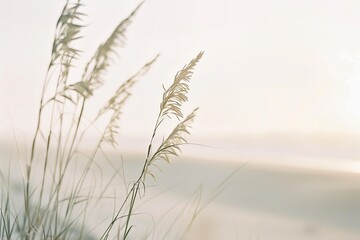 Obraz premium Beach Grass in Soft Focus with Sandy Shore and White Sky. Generative AI. 
