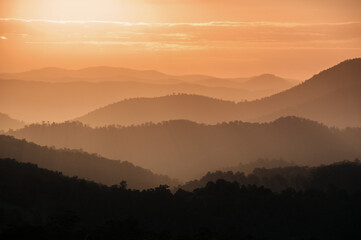 Evening light in the Sunshine Coast Hinterland, Queensland Australia